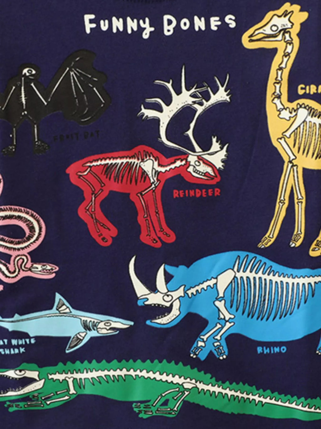 b10602e3-63e2-42d9-86cb-82094ea3c785-Max-Origin